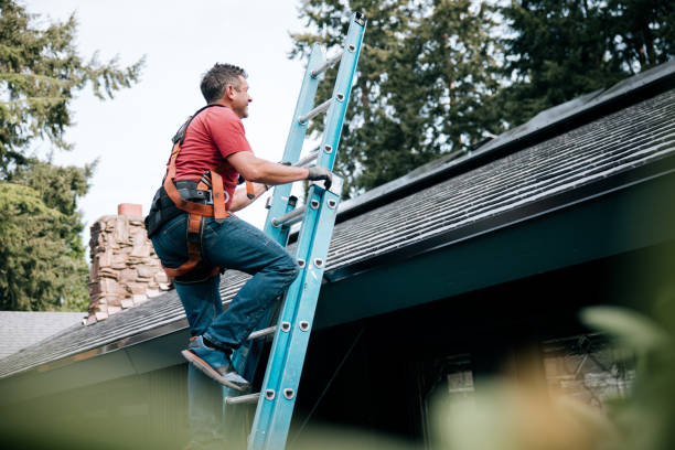 Best Roof Moss and Algae Removal  in Jupiter, FL